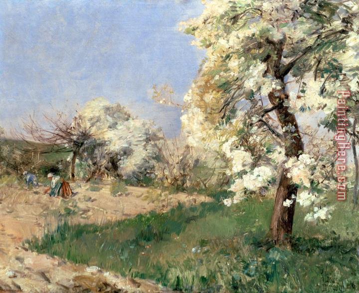 childe hassam Pear Blossoms